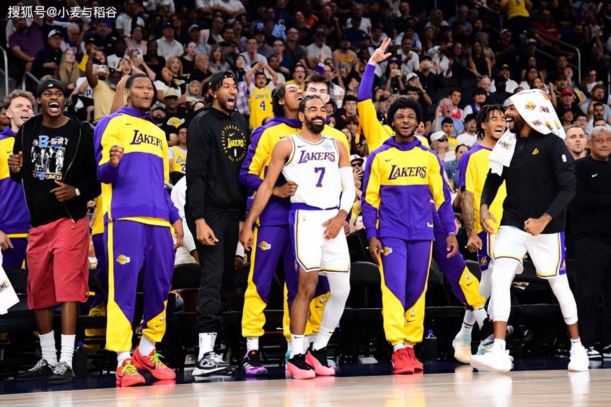 波兰对阵荷兰世预赛中，有球迷向场内投掷烟火迫使比赛被中断（世预赛波兰战荷兰，球迷投掷烟火致比赛中断）